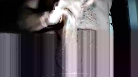 Pat online show from March 11, 10:10 am