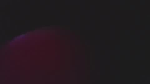  iara smith  online show from February 15, 12:03 pm