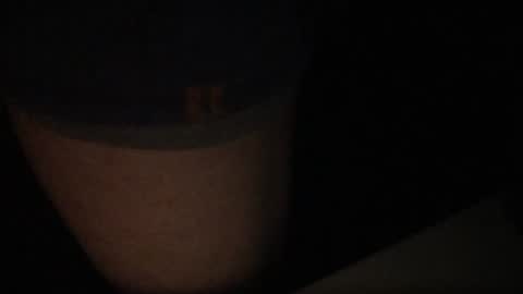 Snapshot of idksohorny chatting on January 18, 11:21 am idksohorny online show from January 18, 11:21 am