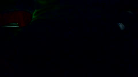 Snapshot of ifanta chatting on December 4, 2:21 am Nicolas online show from December 4, 2:21 am