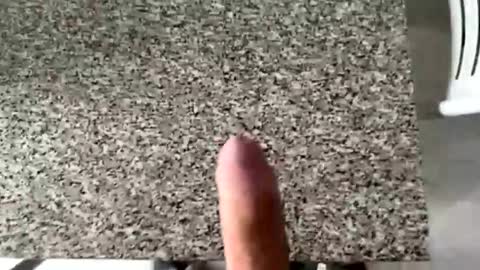 ilconte81 online show from March 10, 2:33 pm