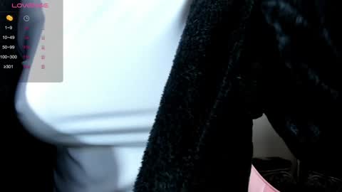 Snapshot of illegal_lorry chatting on December 30, 4:53 am illegal_lorry online show from December 30, 4:53 am