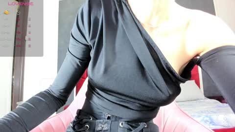 Snapshot of illegal_lorry chatting on February 2, 4:15 am illegal_lorry online show from February 2, 4:15 am