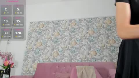 Snapshot of illegal_lorry chatting on September 10, 4:56 am illegal_lorry online show from September 10, 4:56 am