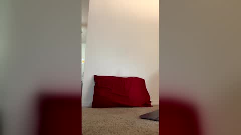 imdirtydan024 online show from May 29, 6:11 am