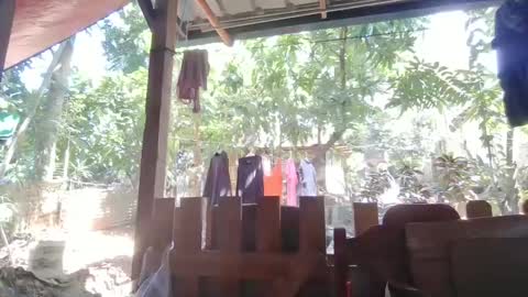 Immaculate02 online show from February 1, 4:46 am