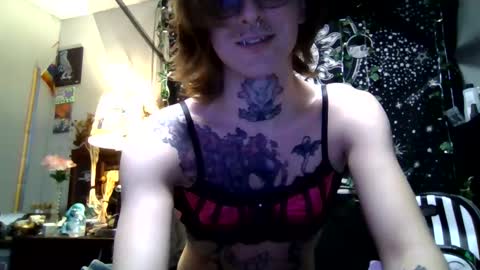 SlyKitten online show from February 21, 2:56 am