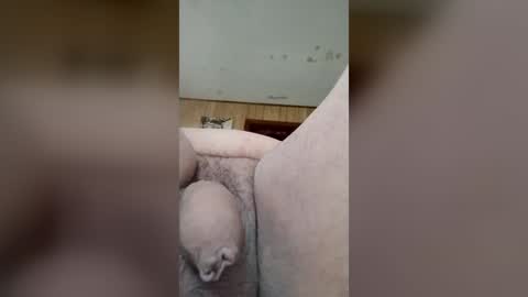indegeniouscreature online show from June 17, 11:23 am