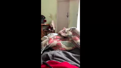 Indianboy online show from June 2, 1:51 am
