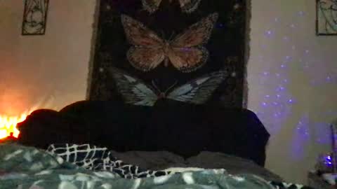 Indigo Bay online show from January 10, 12:17 am