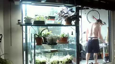 BroLOU online show from June 15, 7:38 pm