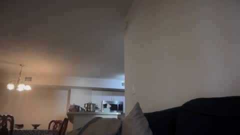 Snapshot of indiscriminator chatting on October 18, 8:20 pm just1dude online show from October 18, 8:20 pm