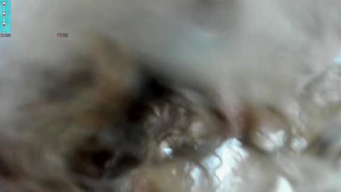 cesar and daniela online show from February 8, 8:42 pm