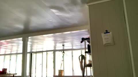 IntoTheWoodsWeGo online show from October 20, 2:06 pm