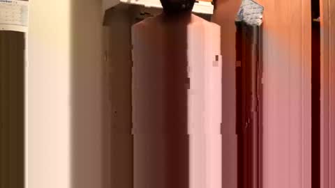 Snapshot of inyourmouthagain83 chatting on October 8, 9:29 am inyourmouthagain online show from October 8, 9:29 am