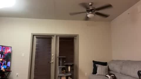 irissweets online show from March 12, 4:41 am