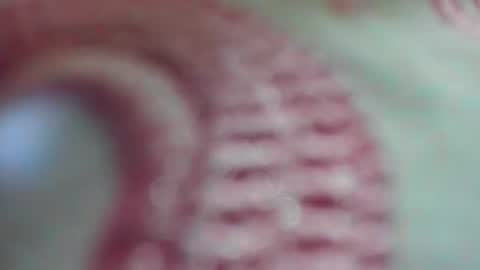 ISABEL online show from July 8, 3:16 pm