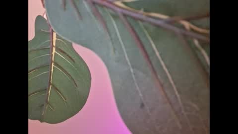 Isabella online show from September 18, 4:58 am