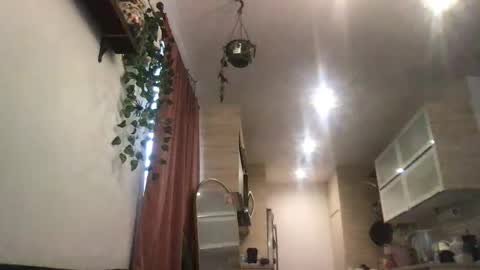 Snapshot of isabellaelizabeth chatting on January 31, 8:51 pm isabellaelizabeth online show from January 31, 8:51 pm