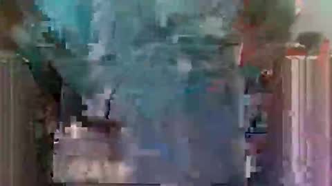 Horny boy online show from May 28, 10:56 am