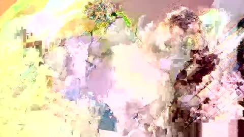 Snapshot of islandboy_ethan chatting on May 13, 4:04 pm Nathaniel online show from May 13, 4:04 pm
