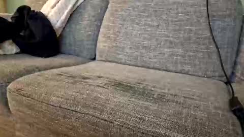 Snapshot of itsjeroen chatting on November 2, 1:52 am itsjeroen online show from November 2, 1:52 am