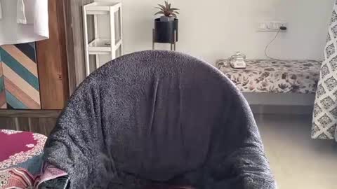 Raje online show from October 18, 7:20 am