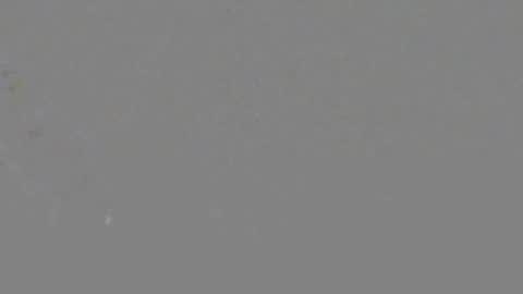 Snapshot of itsnyladior777 chatting on June 6, 3:39 pm ItsNyladior online show from June 6, 3:39 pm