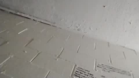 ittybitty0075 online show from March 11, 4:46 pm