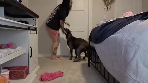 ivey jade online show from November 5, 7:30 am