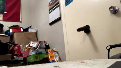 IvoryCum online show from January 14, 1:33 am