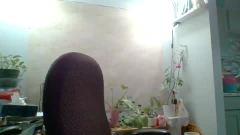 Snapshot of ivyjane3522 chatting on May 7, 2:00 pm ivyjane3522 online show from May 7, 2:00 pm