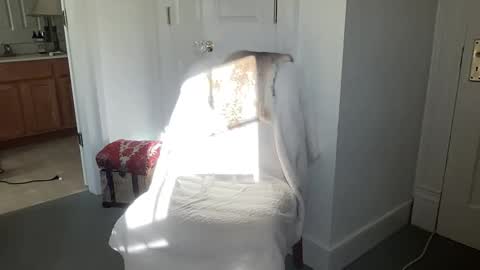 Lydia DAvalon online show from November 26, 7:15 pm