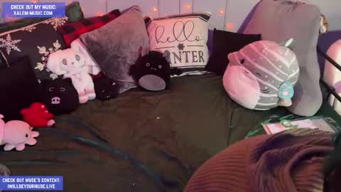 Snapshot of iwillbeyourmuse chatting on November 27, 12:35 am Muse hethey online show from November 27, 12:35 am