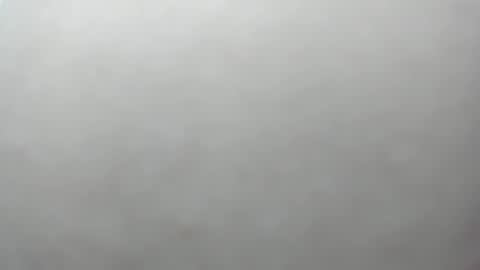 izelevans online show from November 27, 4:09 pm