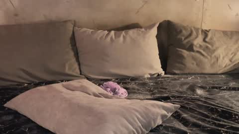 Snapshot of izi_fox chatting on February 19, 9:47 pm izi online show from February 19, 9:47 pm