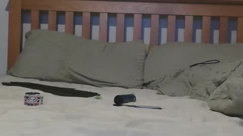 Big 8 online show from November 4, 2:16 pm