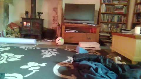 J4ckcock online show from November 16, 9:48 am