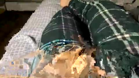 Snapshot of jaaltar chatting on December 3, 2:41 am Jaaltar online show from December 3, 2:41 am