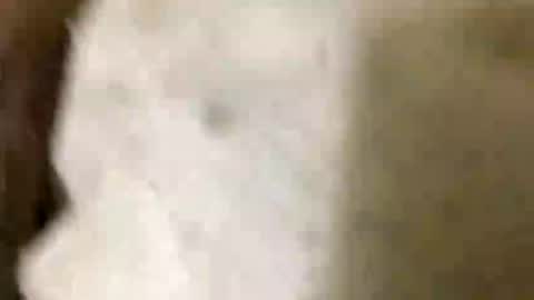 Snapshot of jaaltar chatting on January 8, 7:05 pm Jaaltar online show from January 8, 7:05 pm