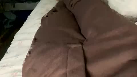 Snapshot of jaaltar chatting on February 2, 2:27 pm Jaaltar online show from February 2, 2:27 pm