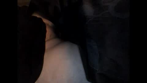 speedy online show from December 3, 5:31 am