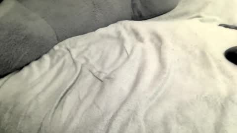 Snapshot of jackslim chatting on February 23, 5:45 am jack online show from February 23, 5:45 am