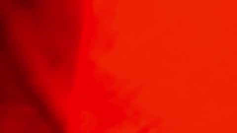 Jackson Bell online show from December 23, 4:50 pm