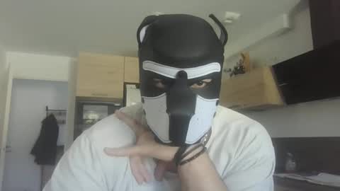 Snapshot of jackstoun_puppy chatting on March 3, 11:33 am ENygma online show from March 3, 11:33 am