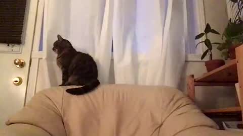 Snapshot of jacobmotes chatting on October 19, 11:00 am Jacob online show from October 19, 11:00 am