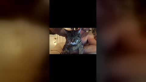 Jacob online show from December 17, 10:49 pm