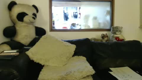 Snapshot of jacques_de_france chatting on January 9, 2:01 am Jacques online show from January 9, 2:01 am