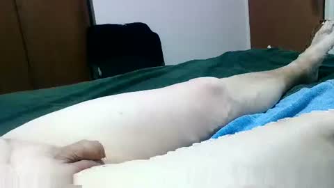 Snapshot of jakscoral chatting on January 26, 9:29 pm Jaks online show from January 26, 9:29 pm