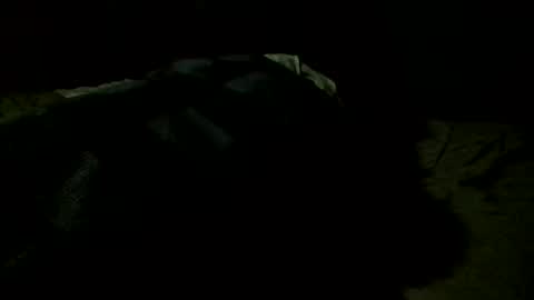 Snapshot of jamacianmehorny chatting on October 23, 8:13 am Jamacian online show from October 23, 8:13 am